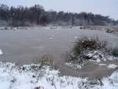 008 Neujahr im Venn 01.01.2010 L. Klasing