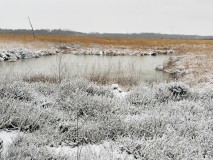 1_Emsdettener-Venn-im-Winter-2025-M.-Kaczmarczyk-3