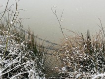 1_Emsdettener-Venn-im-Winter-2025-M.-Kaczmarczyk-4