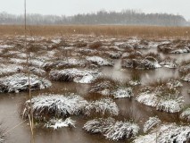 1_Emsdettener-Venn-im-Winter-2025-M.-Kaczmarczyk-5