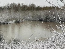 1_Emsdettener-Venn-im-Winter-2025-M.-Kaczmarczyk-7