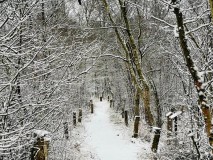 Emsdettener-Venn-im-Winter-2025-M.-Kaczmarczyk-1