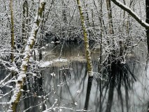 Emsdettener-Venn-im-Winter-2025-M.-Kaczmarczyk-2