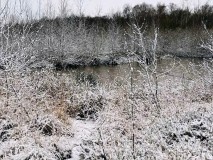 Emsdettener-Venn-im-Winter-2025-M.-Kaczmarczyk-6