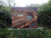 003-Freiland-Ausstellung-Spuren-im-Emsdettener-Venn-10.09.2017-L.-Klasing