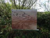 004-Freiland-Ausstellung-Spuren-im-Emsdettener-Venn-10.09.2017-L.-Klasing