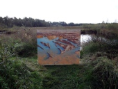 006-Freiland-Ausstellung-Spuren-im-Emsdettener-Venn-10.09.2017-L.-Klasing