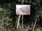 008-Freiland-Ausstellung-Spuren-im-Emsdettener-Venn-10.09.2017-L.-Klasing