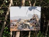 009-Freiland-Ausstellung-Spuren-im-Emsdettener-Venn-10.09.2017-L.-Klasing