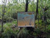 012-Freiland-Ausstellung-Spuren-im-Emsdettener-Venn-10.09.2017-L.-Klasing