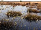Am Lehrpfad-L. Klasing