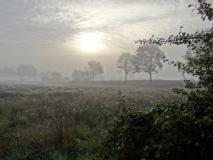 Herbstnebel in den Feuchtwiesen am Lehrpfad im Emsdettener Venn  L. Klasin