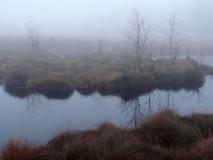 Herbstnebel am Lehrpfad im Emsdettener Venn L. Klasing