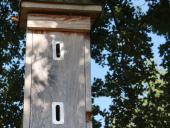 002-Hornissenkasten-besetzt-am-14.08.2017-L.-Klasing