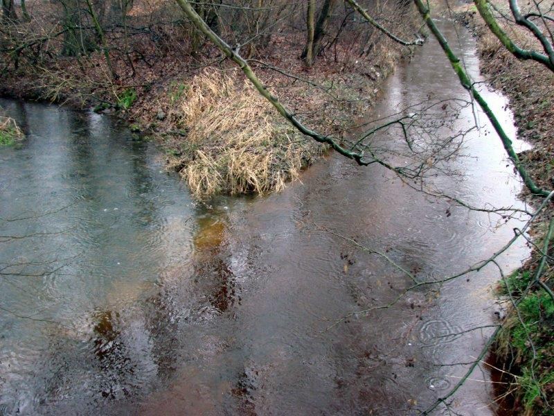 Hummertsbach: Westumer Landstr. Nähe Regenwasser-Rückhaltebecken-L. Klasing