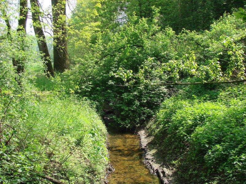 Hummertsbach: Nähe Wasserwerk Ortheide-L. Klasing