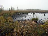 001-Alter-Torfstich-2006-da-waren-die-Staumaßnahmen-noch-nicht-erfolgt-L.-Klasing-