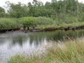 002-Alter-Torfstich-am-Turmweg-L.-Klasing-