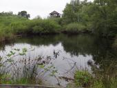 007-Alter-Torfstich-am-Lehrpfad-L.-Klasing-