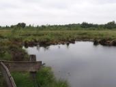 009-Alter-Torfstich-am-Lehrpfad-L.-Klasing-