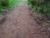 010-Lehrpfad-trocken-Brandgefahr-L.-Klasing