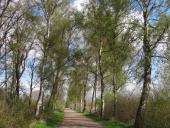 Hindenburgdamm im Frühling-L. Klasing