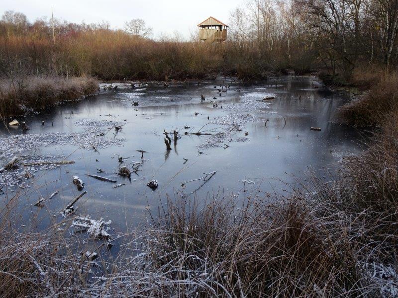 002-Langsam-füllen-sich-wieder-die-Torfstiche-22.01.2019-L.-Klasing-34