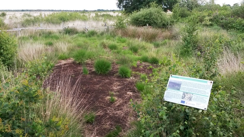 Recker Moor: Moorloch