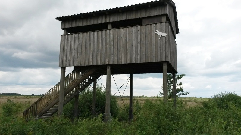 Recker Moor: Aussichtsturm