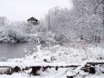 Schnee im Emsdettener Venn am Lehrpfad L. Klasing