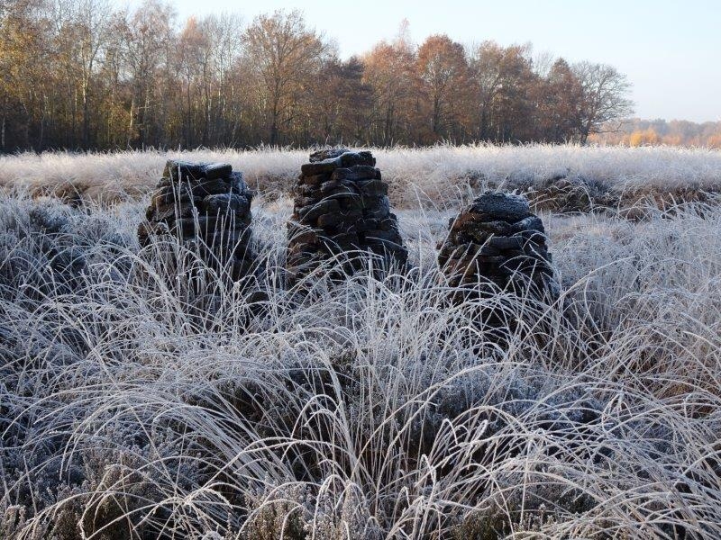 003-16.11.2018-Torfdiemen-aus-Resten-zum-letztenmal-aufgebaut-L.-Klasing-