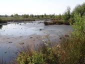 004-Alter-Torfstich-25.07.2018-L.-Klasing-