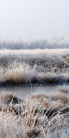 024 Dezember (3)