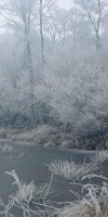 004 Februar (2)