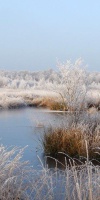005 Februar (4)
