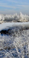 003 Januar (15)