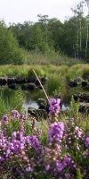 011 Juni (3)