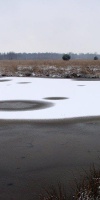 006 März (9)