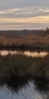 022 November (1)