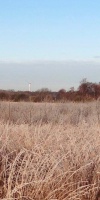 001-Faulbaumecke-Am-26-11-2013-L