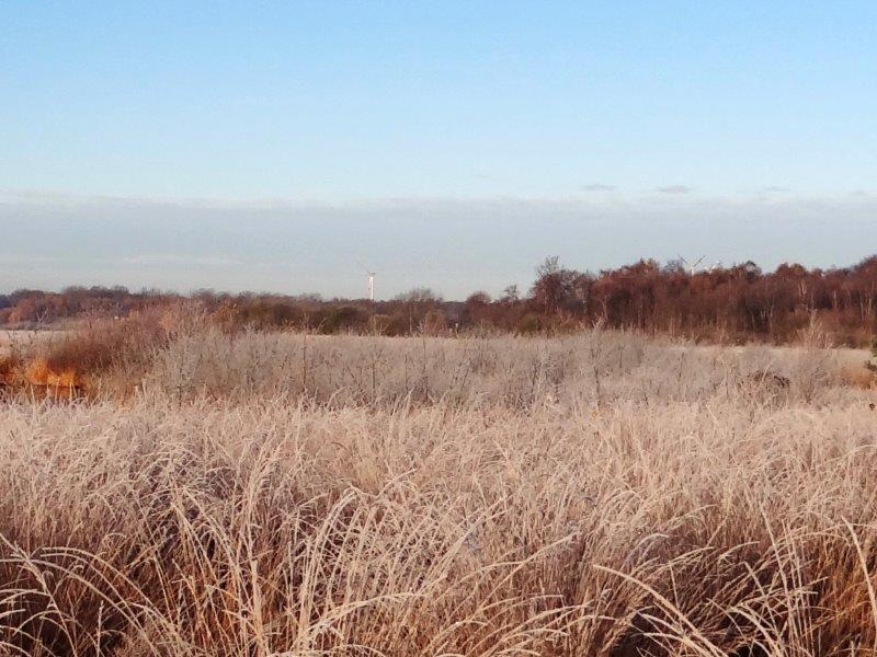 001-Faulbaumecke-Am-26-11-2013-L