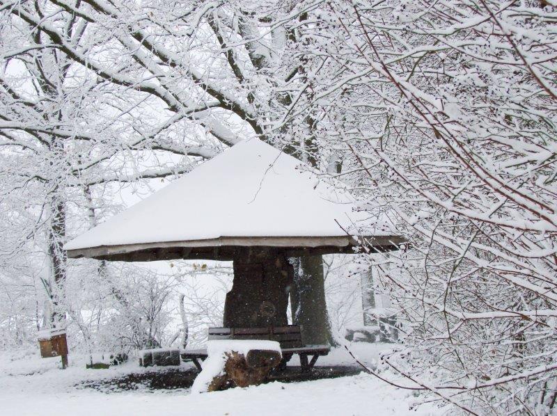 001-Wanderpilz-L-Klasing