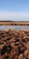 002-Faulbaumecke-Am-14-02-2014-L-Klasing