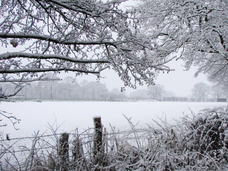 002-Feuchtwiese-L-Klasing