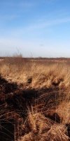 003-Faulbaumecke-Am-14-02-2014-L-Klasing