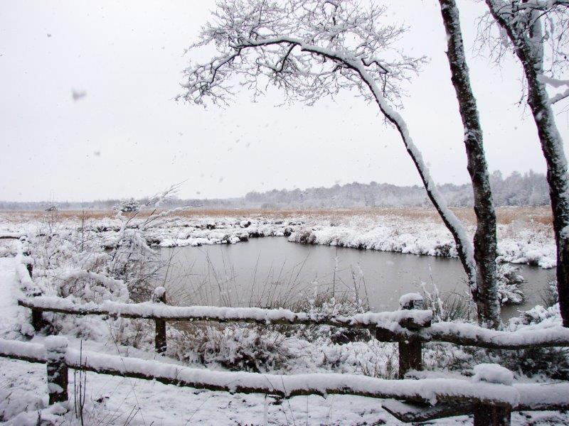 004-Alter-Torfstich-L-Klasing