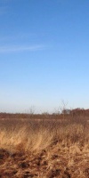 004-Faulbaumecke-14-02-2014-L-Klasing
