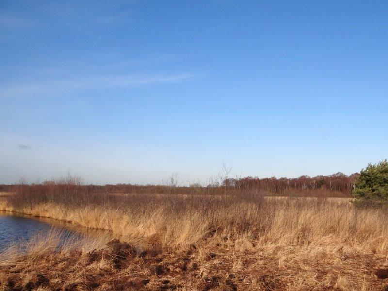 004-Faulbaumecke-14-02-2014-L-Klasing