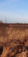 005-Faulbaumecke-14-02-2014-L-Klasing