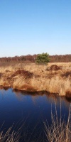 006-Faulbaumecke-14-02-2014-L-Klasing